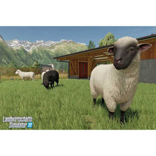 Lade das Bild in den Galerie-Viewer, Landwirtschafts-Simulator 22